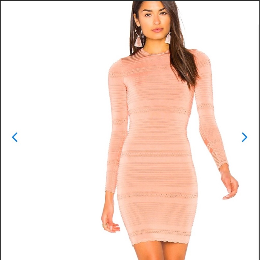 NWT ARC Moss dress